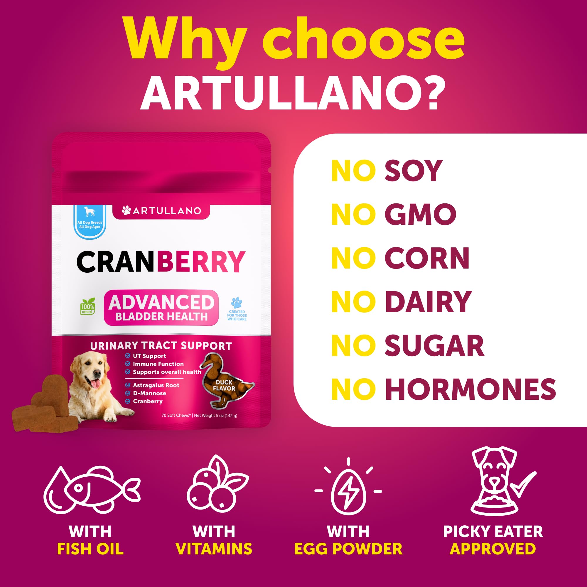 Dog UT Treats - Cranberry Chews for Dogs - Urinary Tract & Bladder Support Supplement with Natural Cranberry Extract - Tasty 70 Soft Bites for Daily Wellness with Fish Oil, Pumpkin, D-Mannose