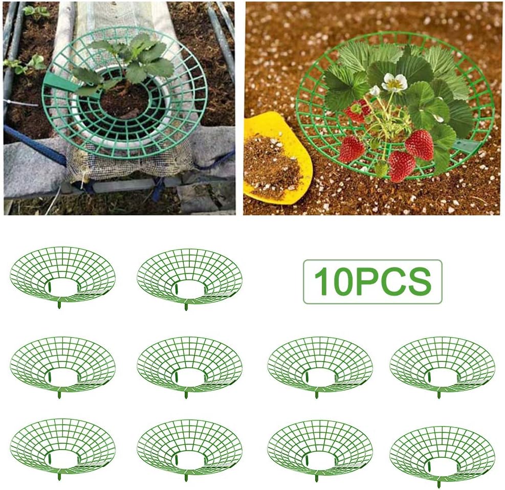 POHOVE Strawberry Supports Stand 10pcs Strawberry Plant Supports Cages ...
