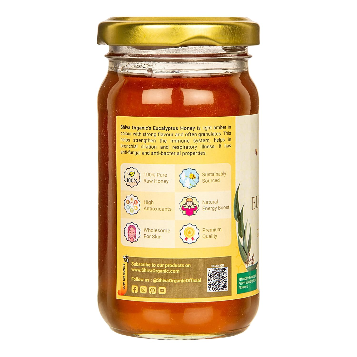 Shiva Organic Raw Eucalyptus Nectar Honey 8.81 oz (250g) - NMR Tested Pure Natural Honey | No Added Sugar Unpasteurised Artisanal Sweetener