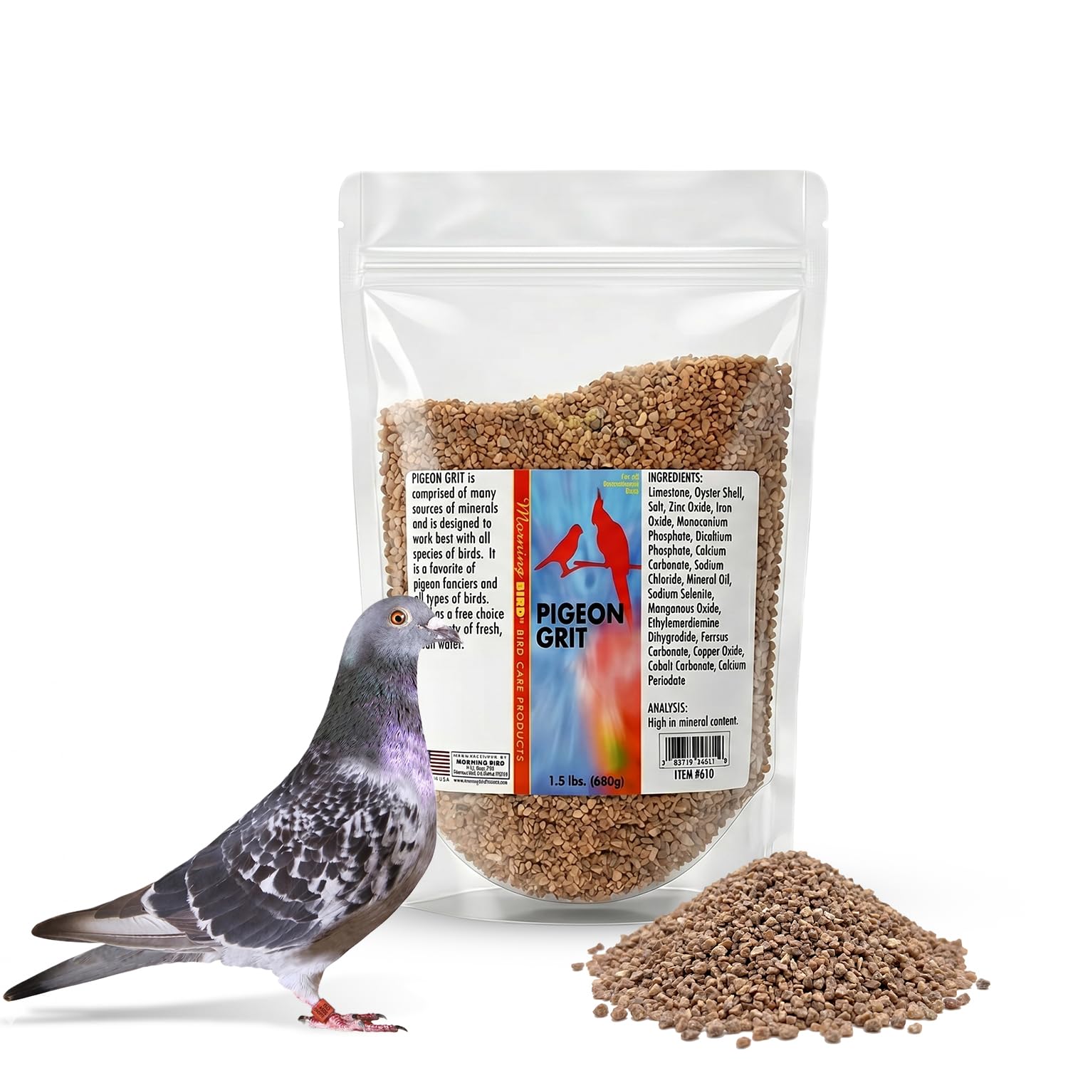 Morning Bird Pigeon Grit