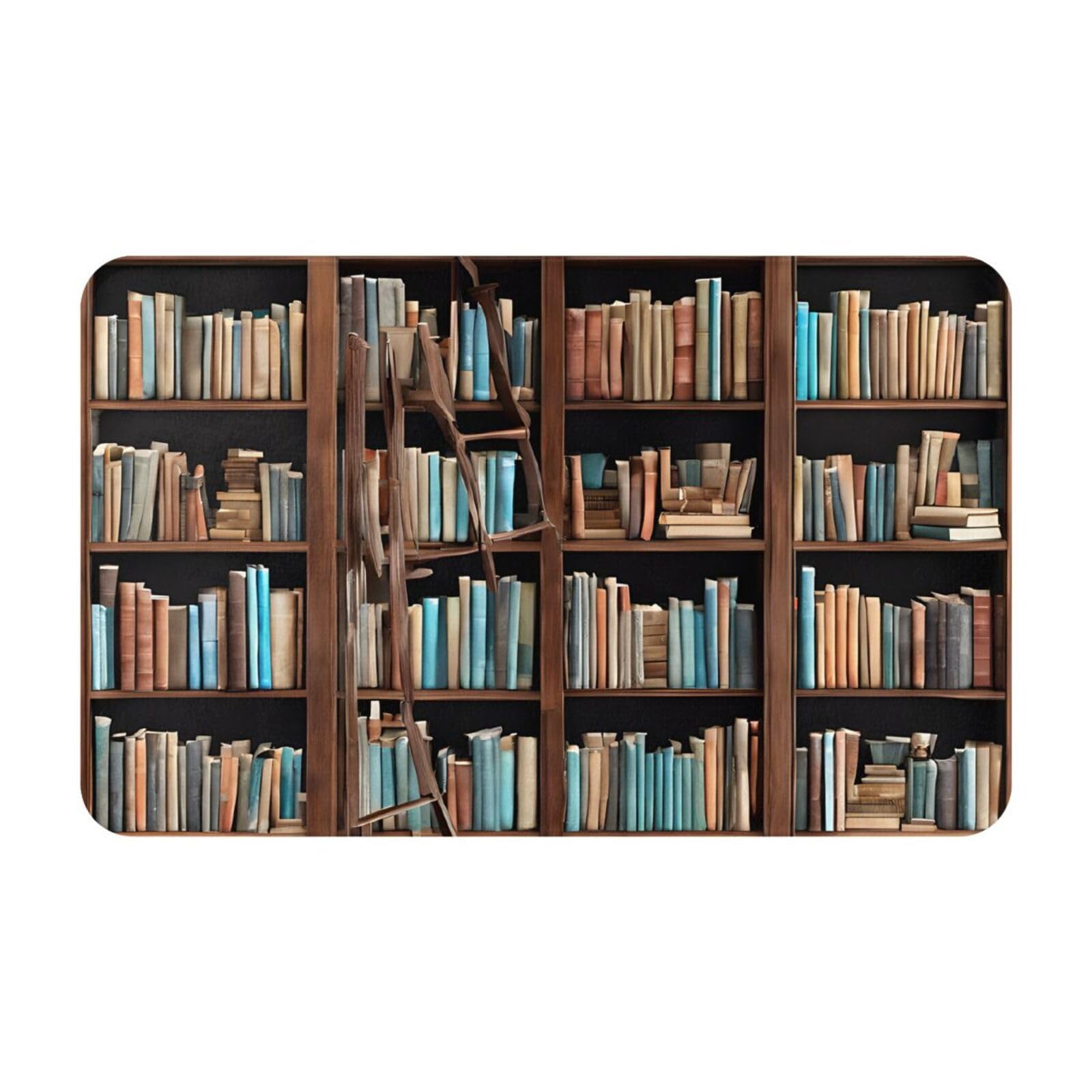 Books Print Living Room Bathroom Kitchen Anti Slip and Absorbent Carpet, Indoor Entrance Door Muddy Floor Mat, Ultra Soft Washable Carpet 21x31.5 Inches