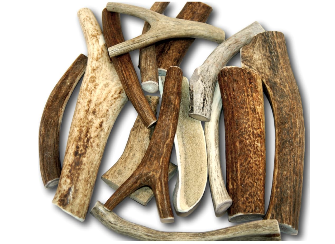 Premium Large Antler - ONE Pound (+/- an Ounce) Variety Pack - Top Dog Chews