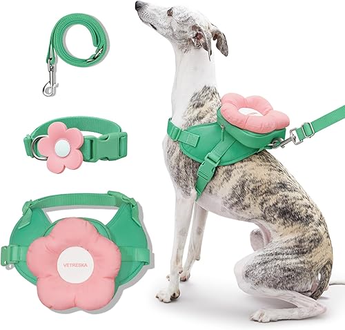VETRESKA Flora - Juego de arnés para perro, correa y collar, arnés de chaleco para perro sin tirones para caminar y entrenar, ajustable, fácil