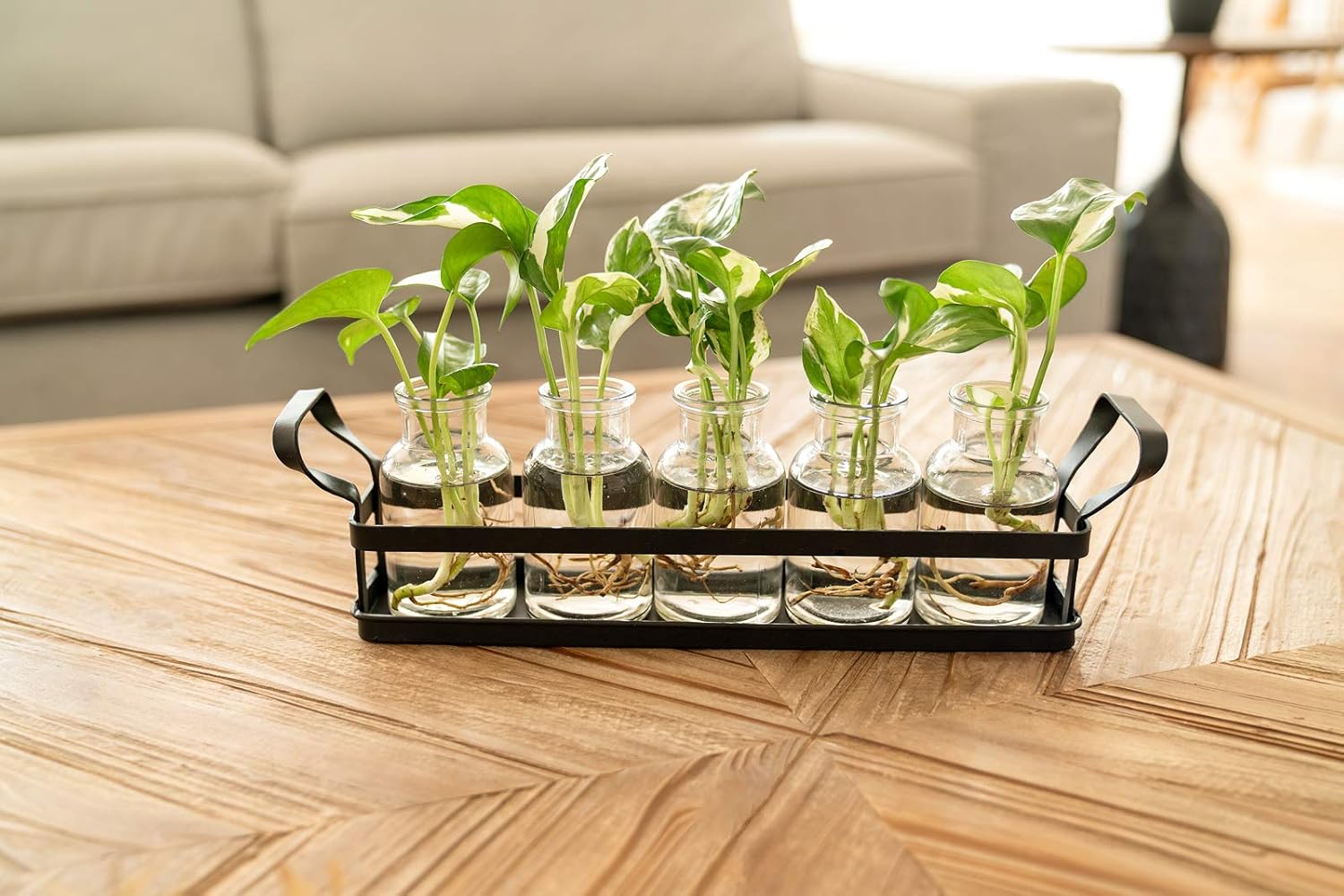 Mkono Plant Terrarium with Metal Stand, Retro Glass Planter Tabletop Flower Vase Perfect for Propagating Hydroponic Plants Flower Cutting Cute DIY Centerpiece Home Office Garden Decor, 5 Bottle : Patio, Lawn & Garden