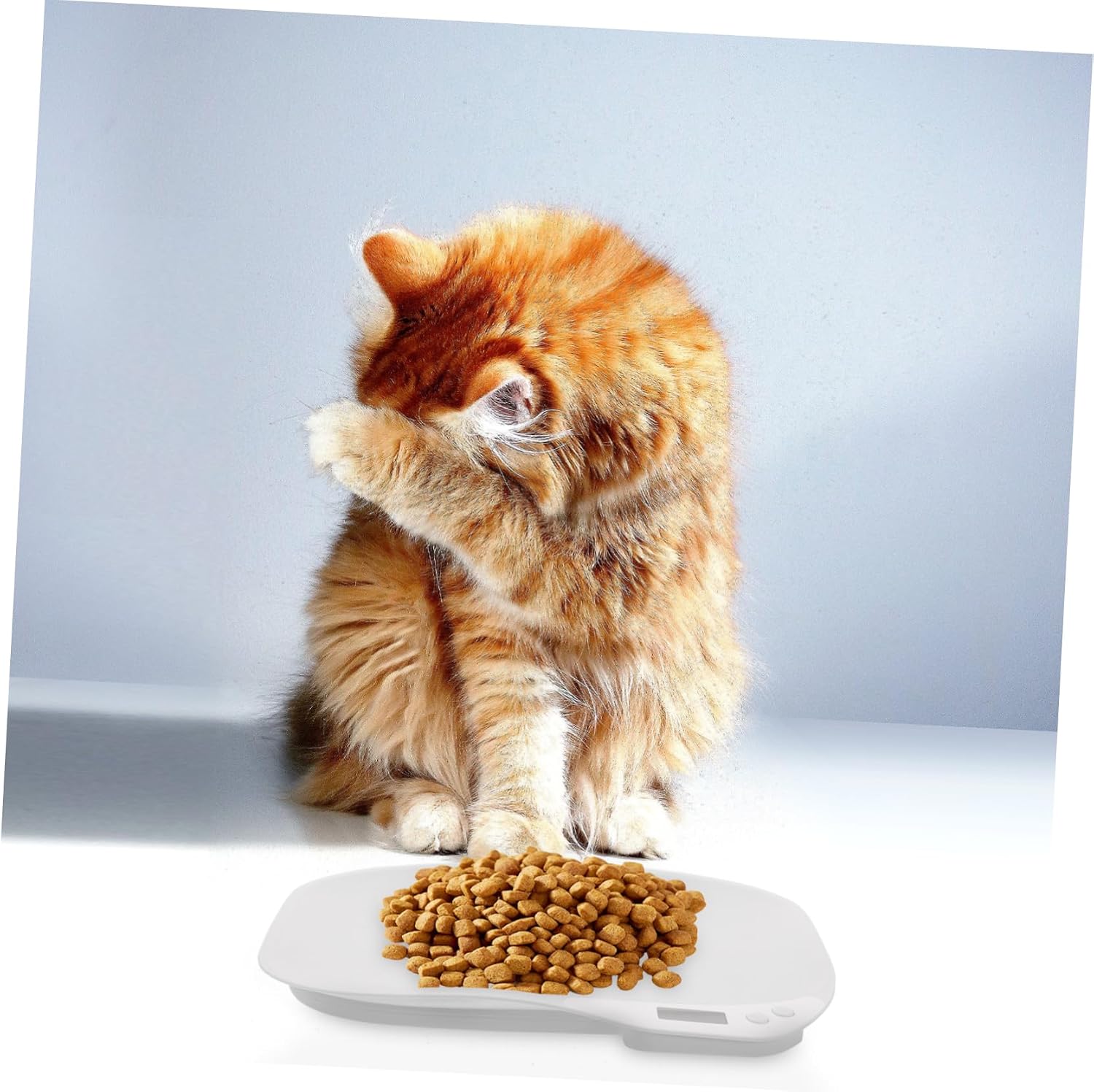 Digital Pet Scale for Animals Accurate Weight Measurement for Puppies and Kittens Versatile Scale for Pet Food and Medicine Durable Design for Use