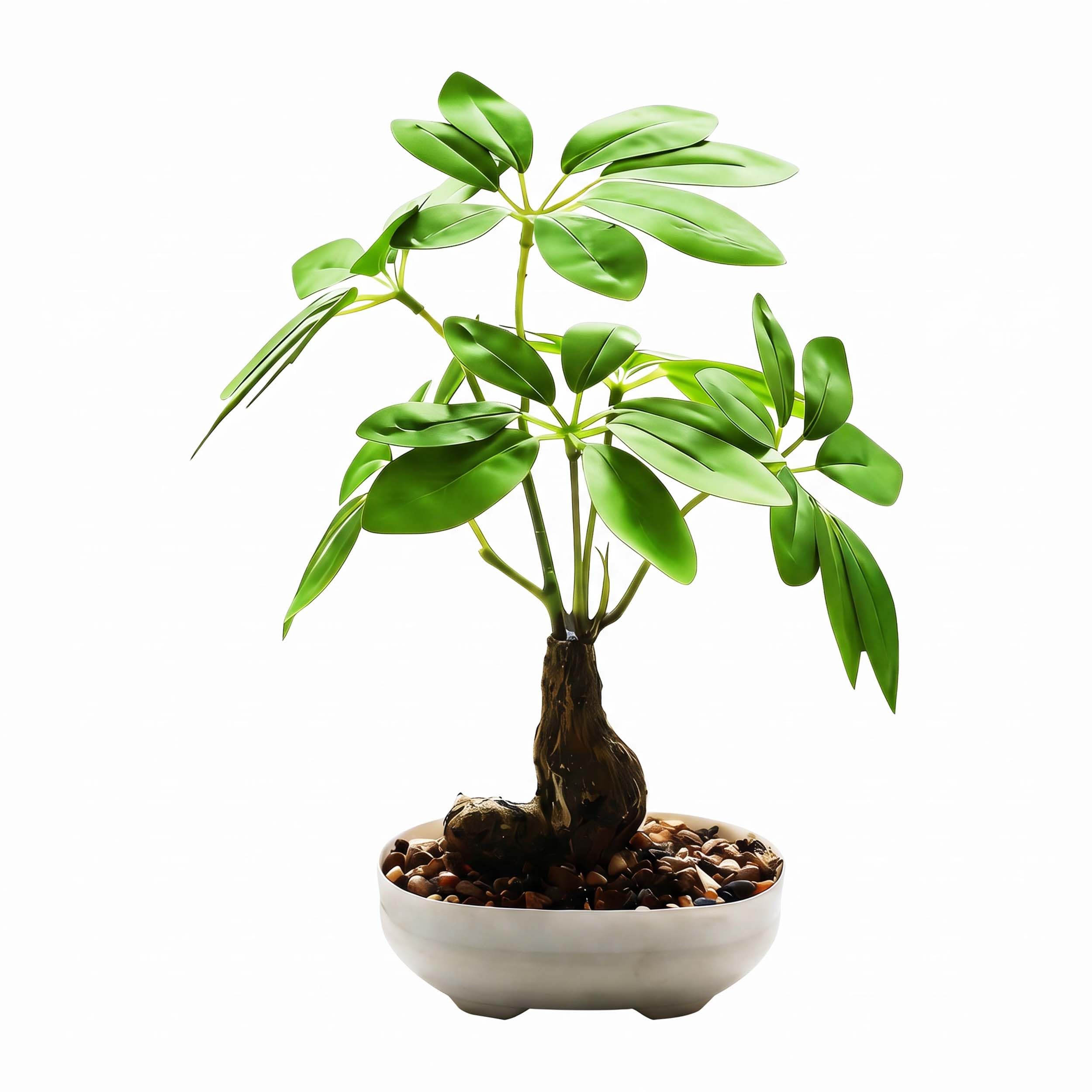 人工観葉植物2点 Amazon｜光触媒 フェイクグリーン 人工観葉植物 七葉蓮スタイル 抗菌