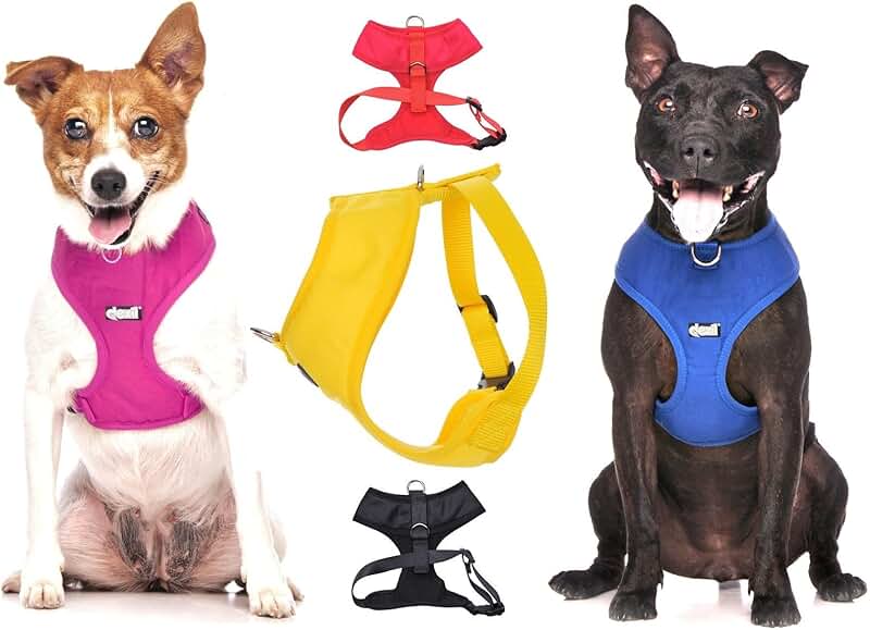 Amazon.co.uk Dog Harnesses Dog Harnesses / Collars, Harnesses