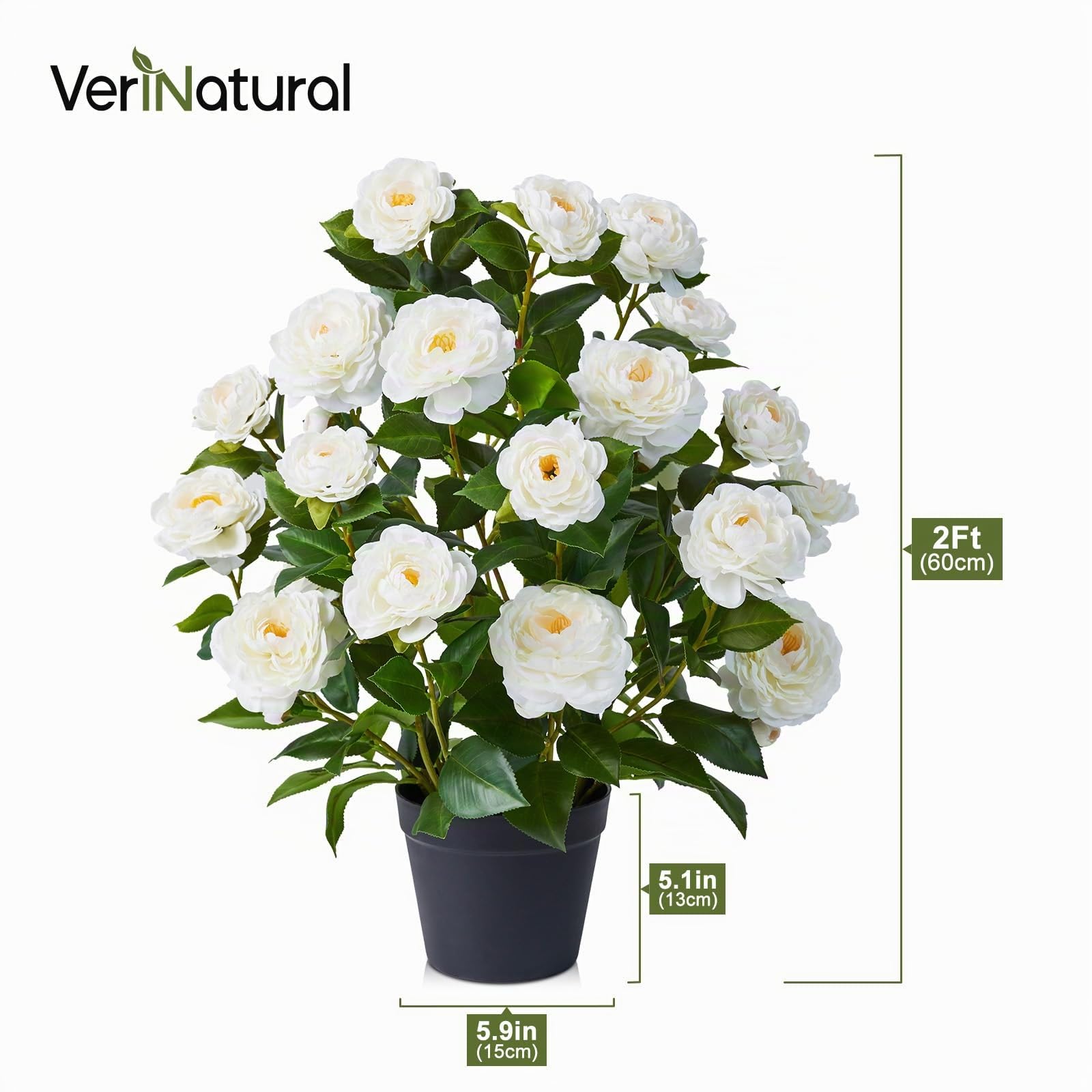 VeriNatural Künstlicher Kamelienbaum Weiß 60cm Kunstpflanze im Topf 2 Stück
