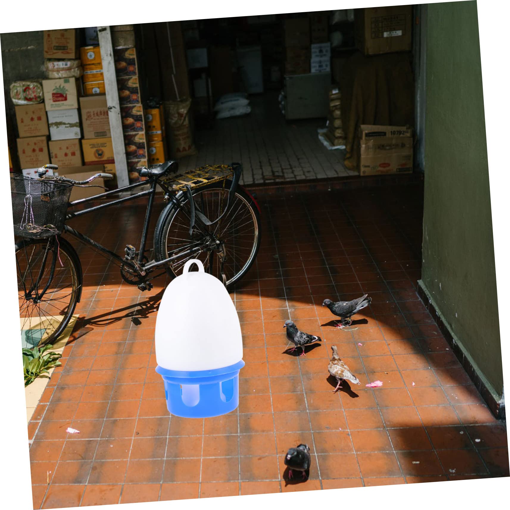 Abreuvoir pour Oiseaux et Pigeons 1 Pièce en PVC, Bleu