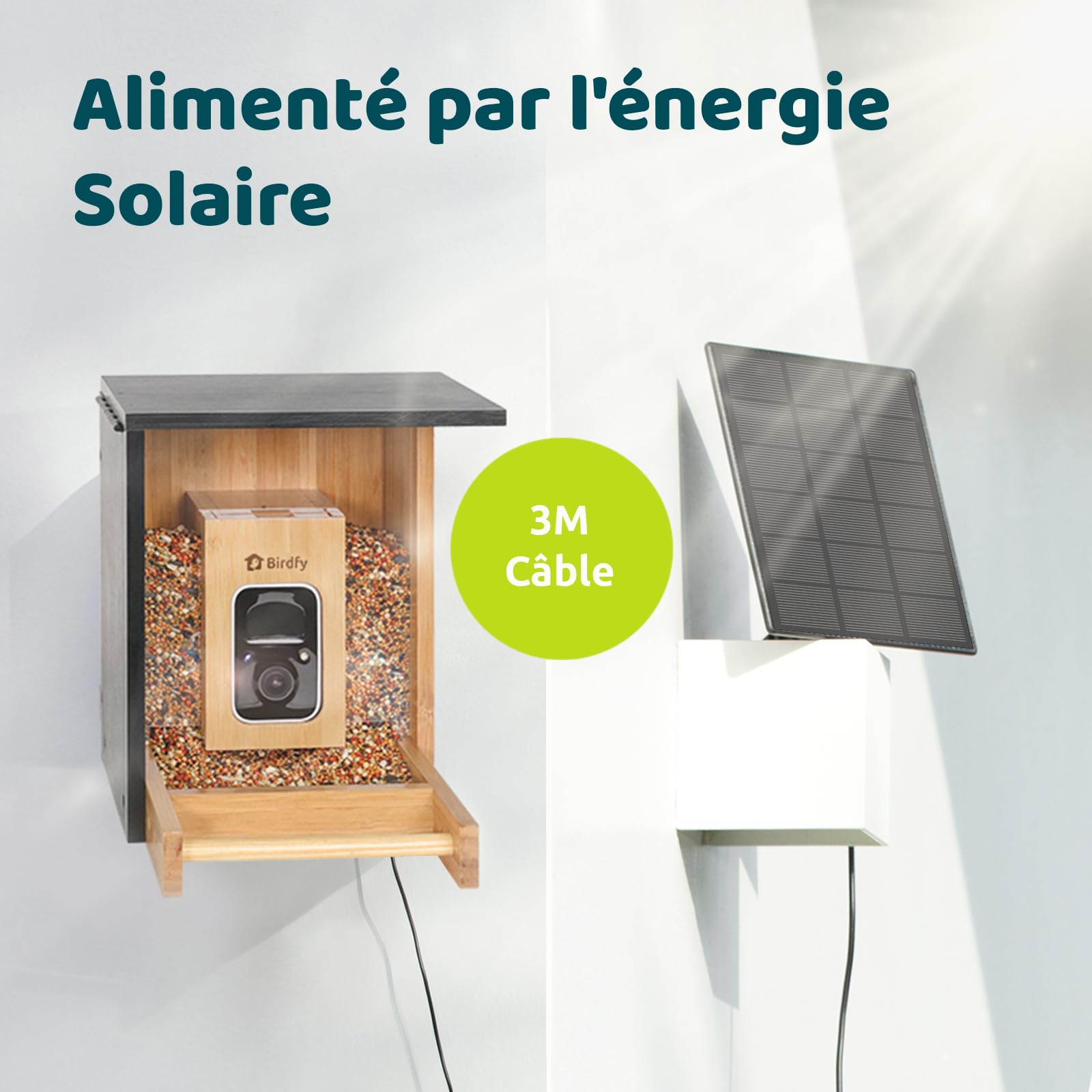 Netvue Birdfy Mangeoire Oiseaux Bambou Caméra Solaire Vision Nocturne Capture Auto Images Vidéos Notification