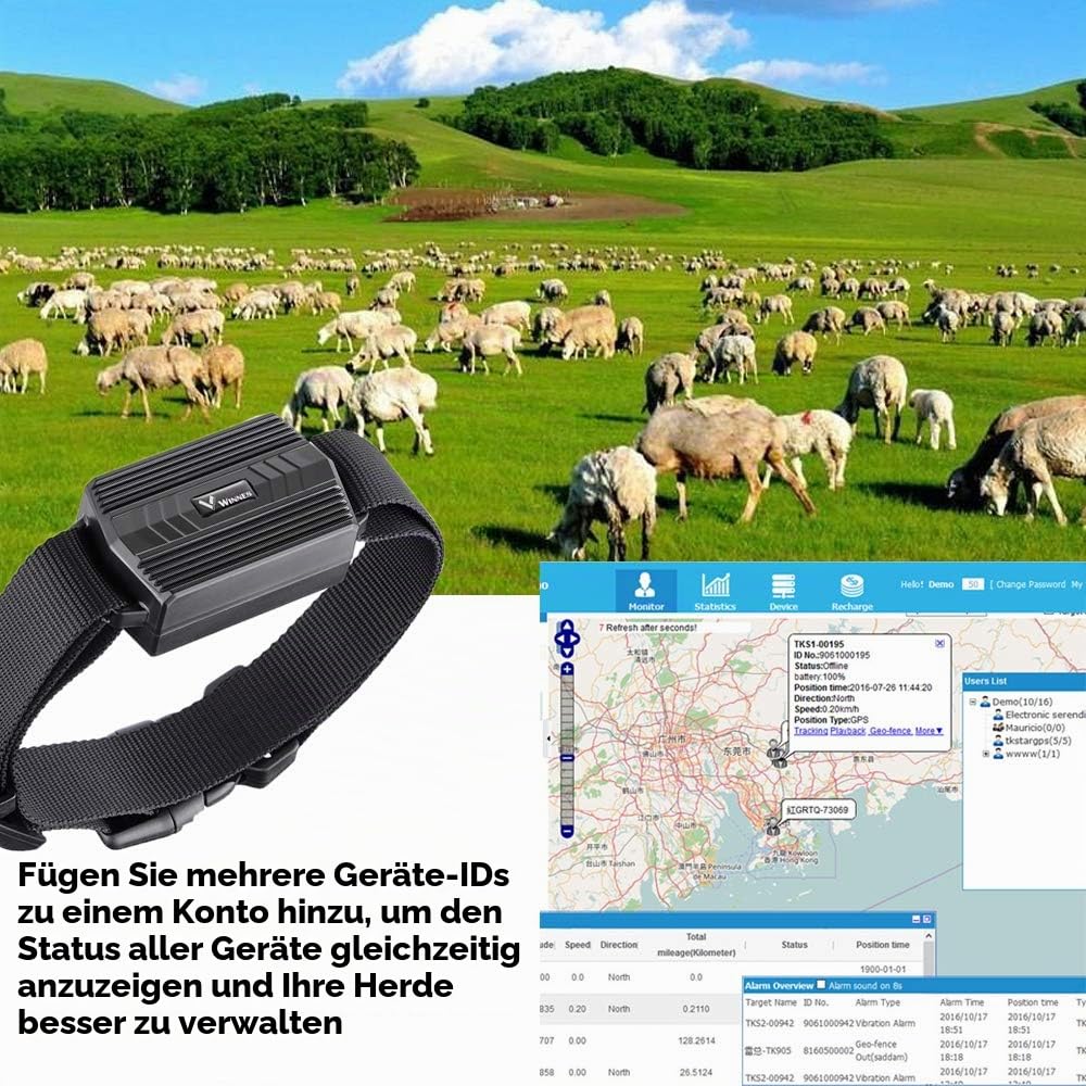 4G GPS Tracker Tier mit Halsband, 3000mAh Wasserdicht Rinder Schaf GPS-Tracker Weiden Anti Verloren GPS Tracking Geräte