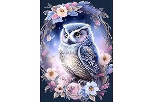 Owl Diamond Art Kits for Adults: Unleash Your Inner Artist