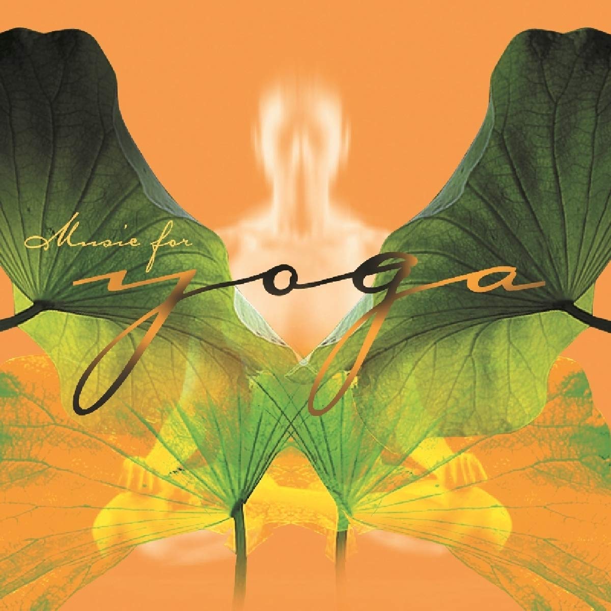 Music For Yoga [Audio CD] Various Artists