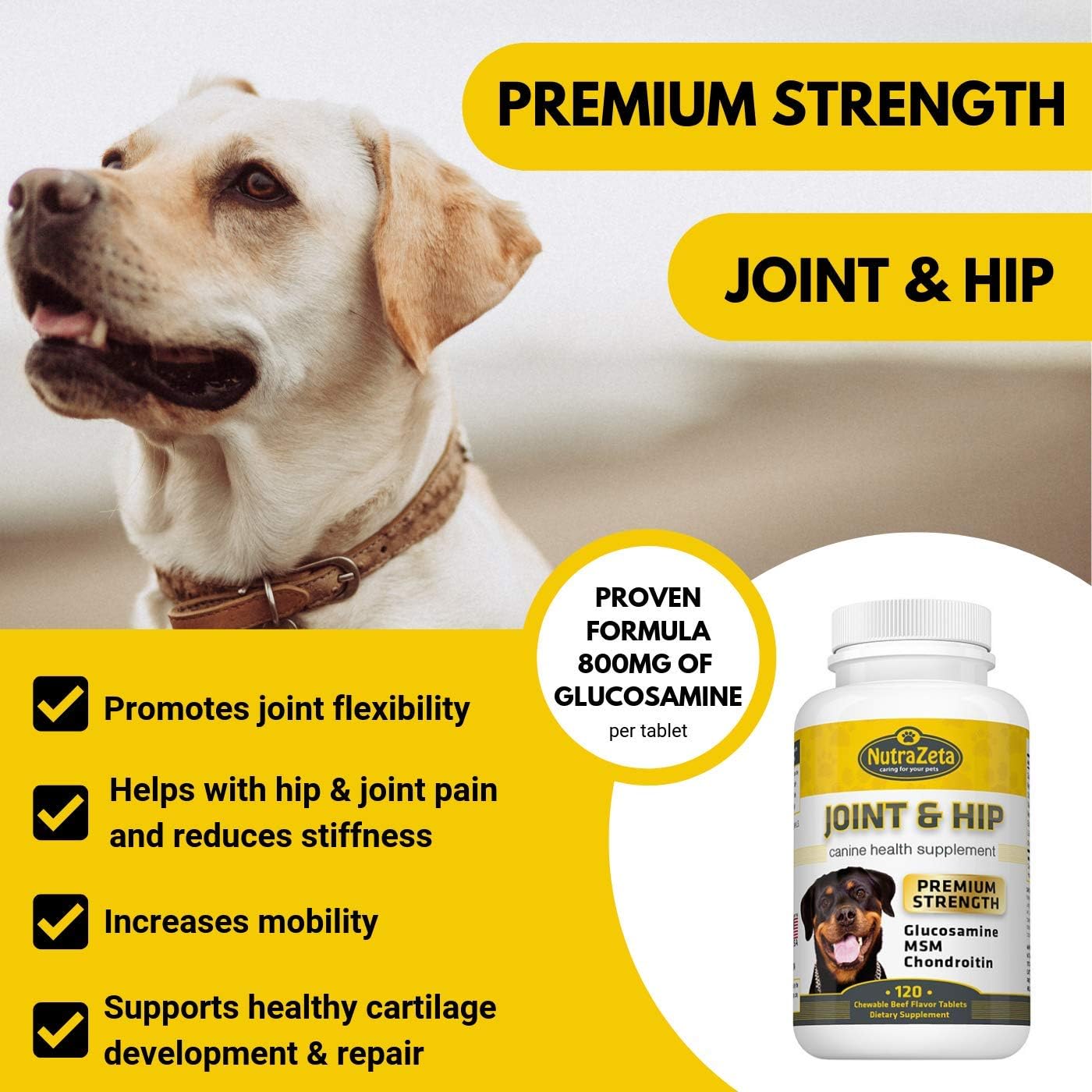 What Brand Of Glucosamine Chondroitin Is The Best For Dogs