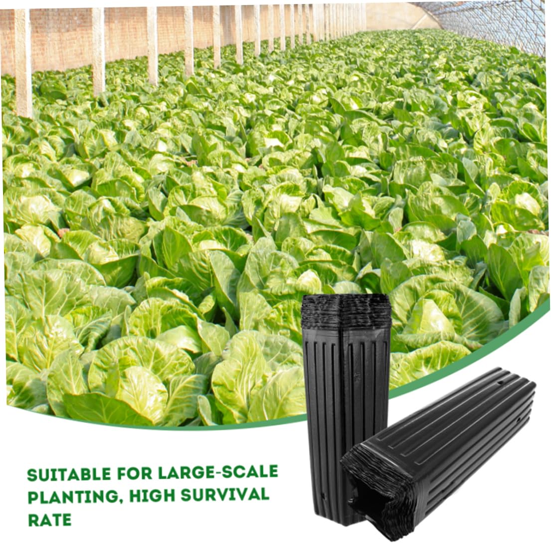 Pots de pépinière de Plantes Profondes, Pots d'arbres Hauts 50 pièces avec Trous Drainage, récipient semis pour Le Jardinage
