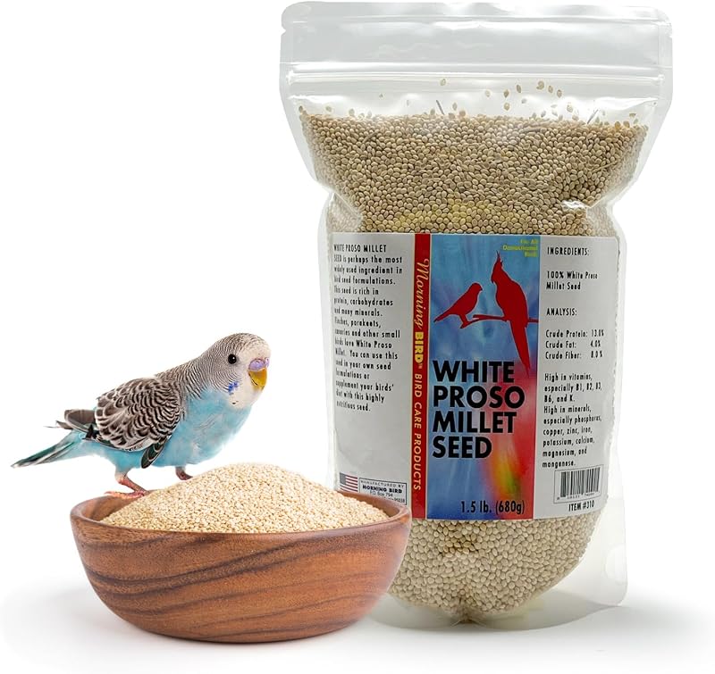 Painço Branco Proso para Aves Morning Bird, Semente Natural sem Casca, 1,5 lb