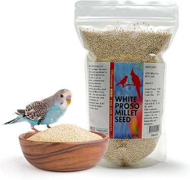 Morning Bird White Proso Millet 1.5 lbs Unhulled Natural Bird Seed Supports Feather Growth & Balanced Nutrition High Energy Delicious Seed - Ideal for Finches, Parakeets & Pet Birds