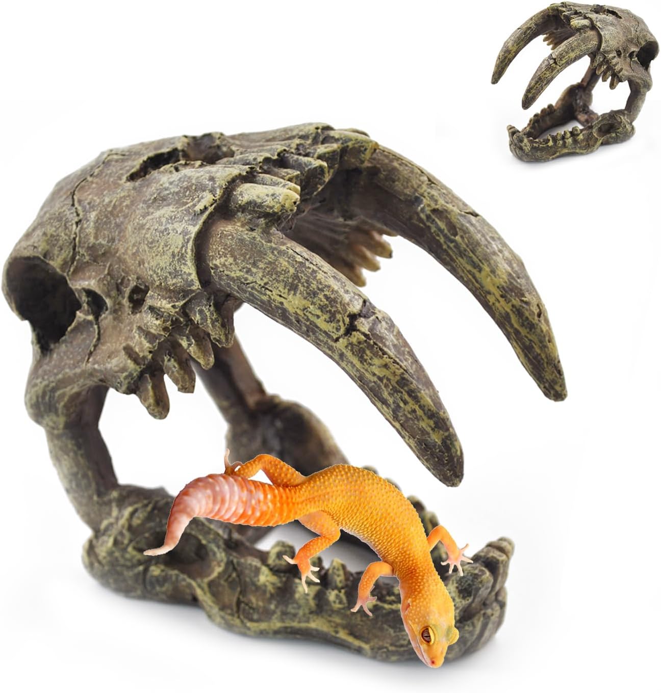 PINVNBY Reptile Resin Dinosaur Skull Decor,Crested Gecko Tank Accessories Hide Artificial Sabertooth Tiger Skull Skeleton Climbing Hideout Cave Landscape Decorations