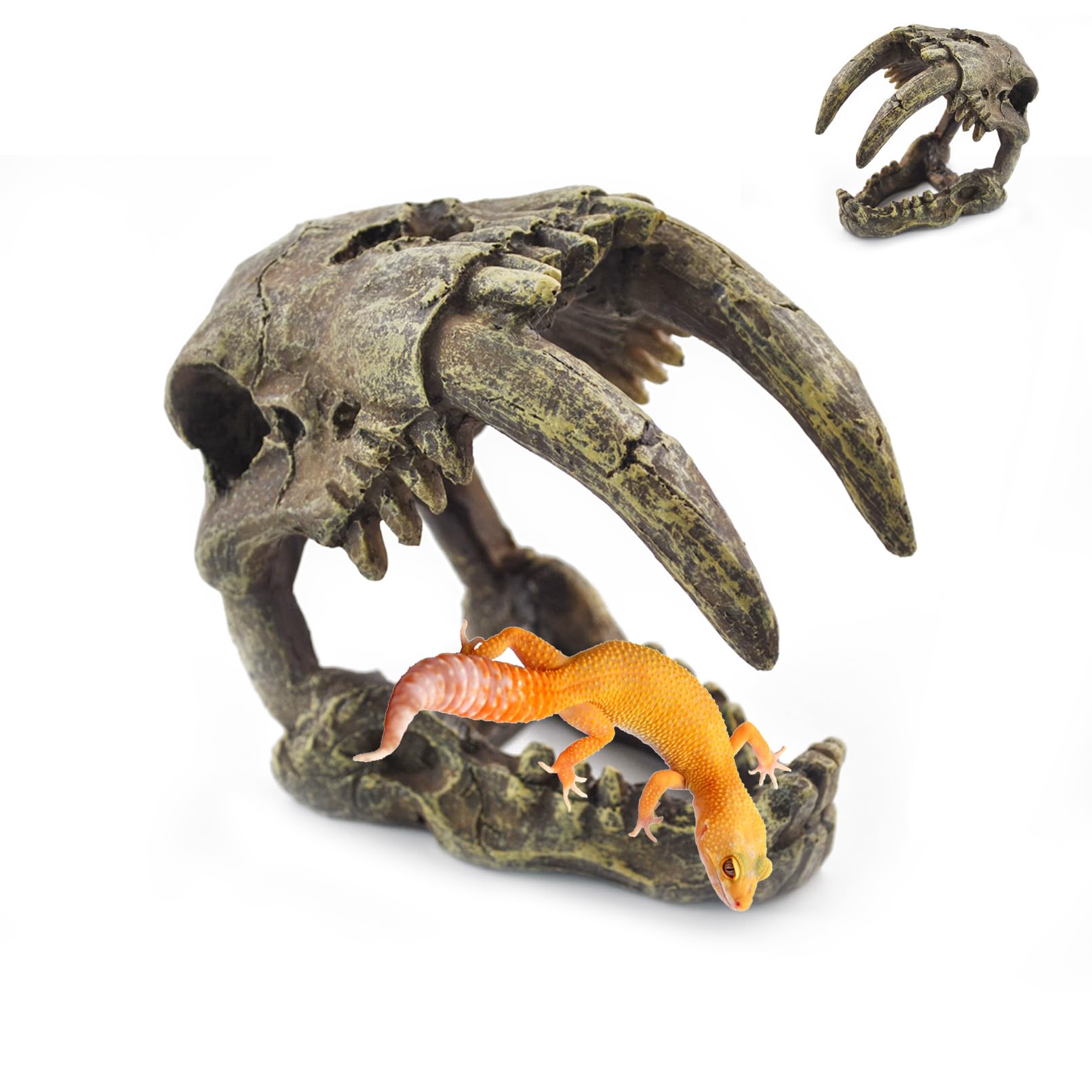 PINVNBY Reptile Resin Dinosaur Skull Decor - habitat decor | Mubboo