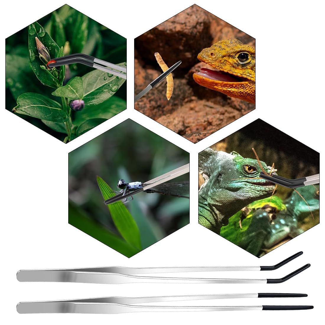 MaoNativey 2 Pcs Long Aquarium Tweezers with Rubber Fish Tank Clean Aquatic Tool Feeding Tongs for Fish Tank Water Plants - Image 4