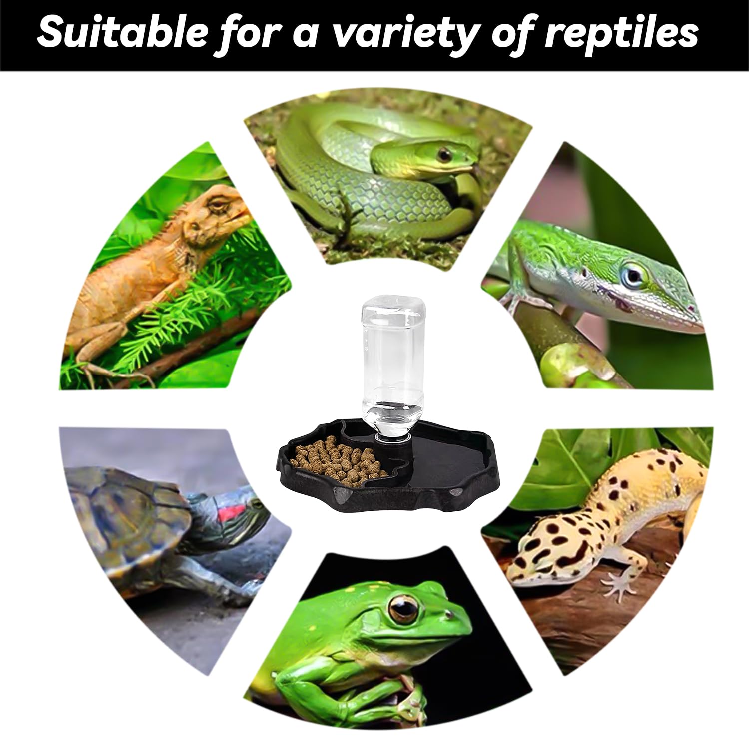 Distributore Acqua Per Rettili 2 In 1 - Ciotola Per Cibo E Acqua, Automatico Per Tartarughe, Criceti E Altri Animali - Foto 4