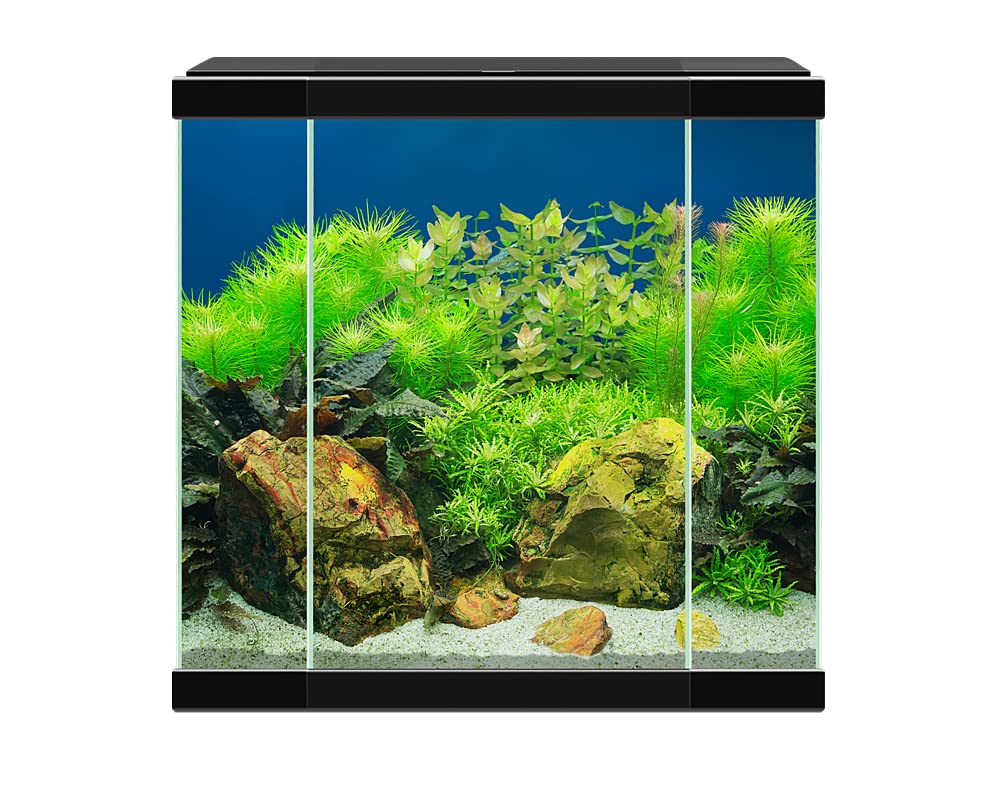 Acuario Aqua 30 Led Negro