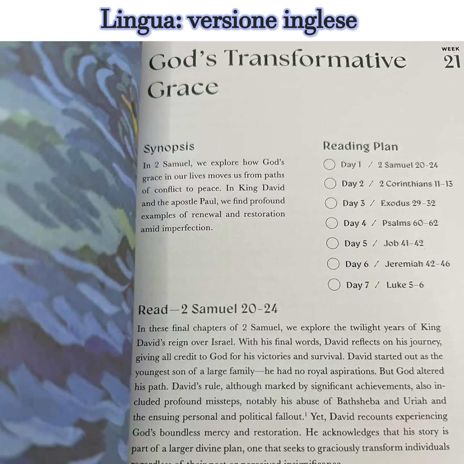 Un Anno Meraviglioso Nella Bibbia, 52 Settimane Di Studio Biblico Per Le Donne, Rafforzamento Della Fede E Dell'amore, Programma Di Lettura Ispiratrice, Guida Per Lo Studio Biblico Per Le Donne Anno B