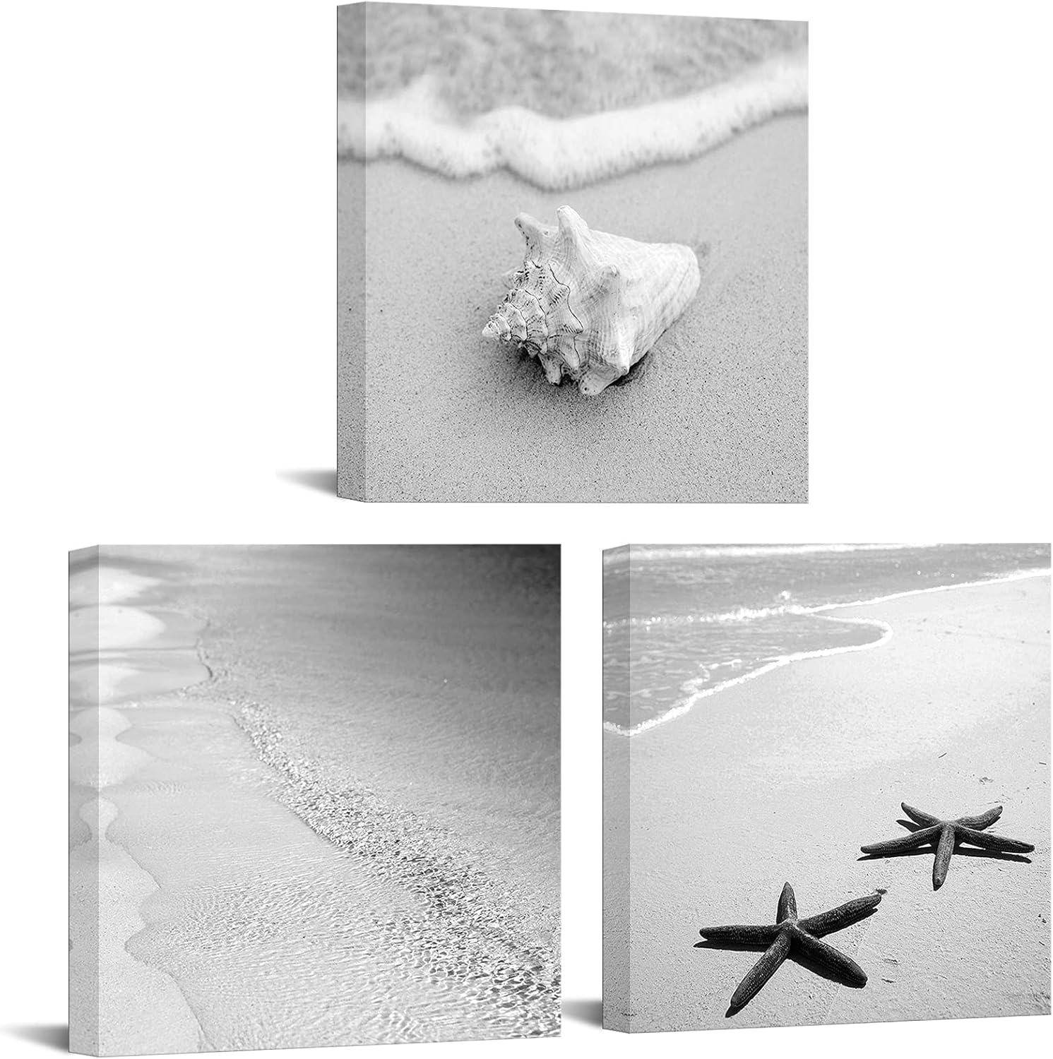 Artsbay Beach Bathroom Decor Black and White Ocean Picture Shell Starfish Canvas Painting for Bedroom 12" Wx12 Hx3pcs