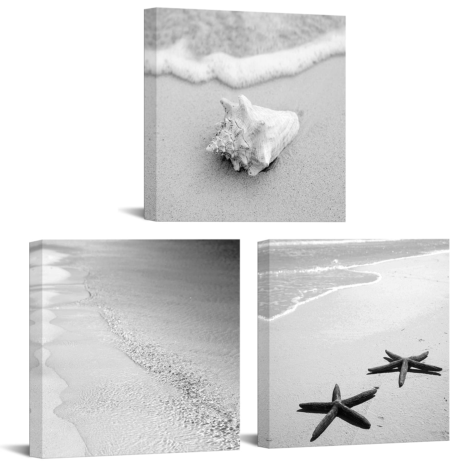ArtsbayBlack White Tropical Sea Wall Art Sand Beach Picture Ocean Wave Shell Starfish Canvas Painting Retro Nature Seascape Decor for Living Room Home Decoration 12" Wx12 Hx3pcs
