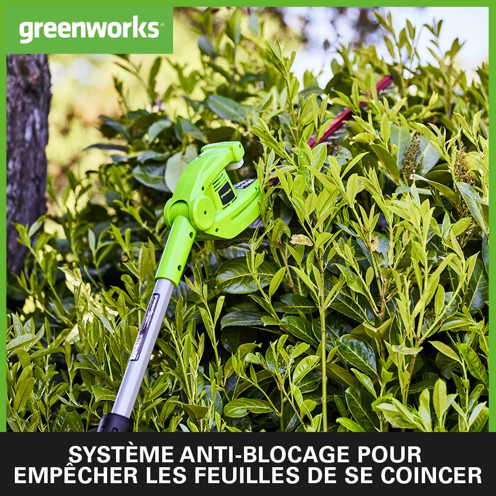 Greenworks G24PH51K2 Taille-Haie à Batterie sur Perche Modulable, Lames de 51 cm Double Action, Coupe jusqu'à 18 mm, Pivot de tête de 125°, 1500 tr/min, Batterie 24V et Chargeur, Garantie 3 Ans