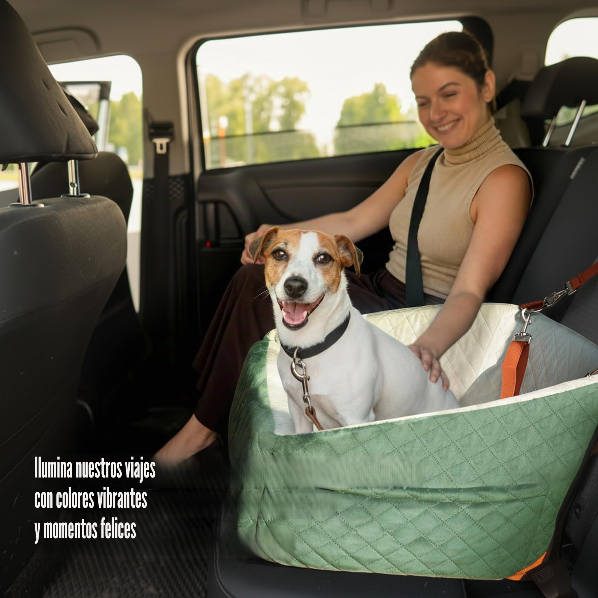 Asiento Perro Coche para Perros Pequeños y Medianos Transportin Cama de Viaje para Mascotas, Delantero o Posterior, hasta 15 kg