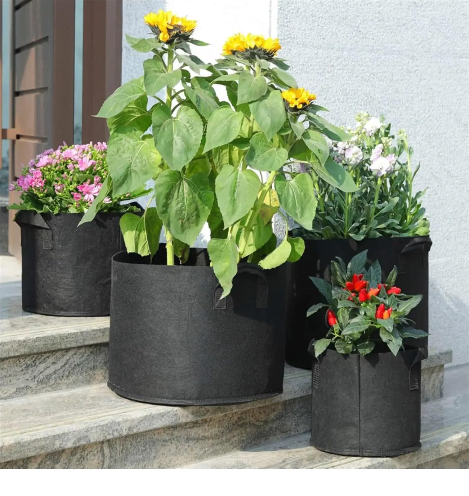 Lot de 5 Sacs Culture en Tissu avec poignées (Capacités Disponibles : 3 gallons, 4, 7, 30 gallons) pour Plantes(30gallons 60x40cm)