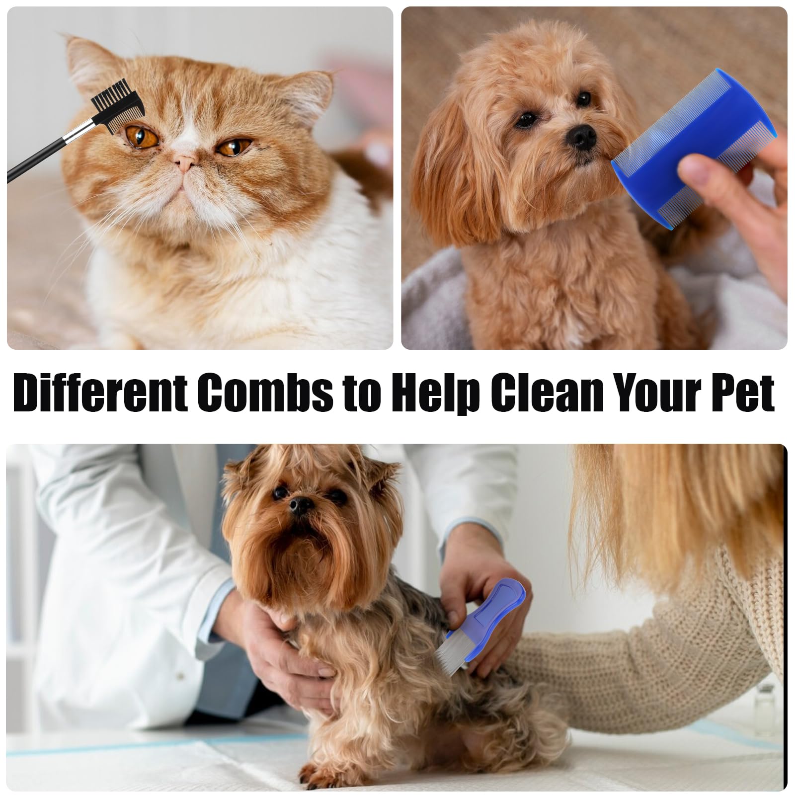 Molain Lot de 5 peignes anti-puces en acier inoxydable avec dents arrondies pour chats et chats, peigne à poils épais, peigne à dents fines pour chien et chat