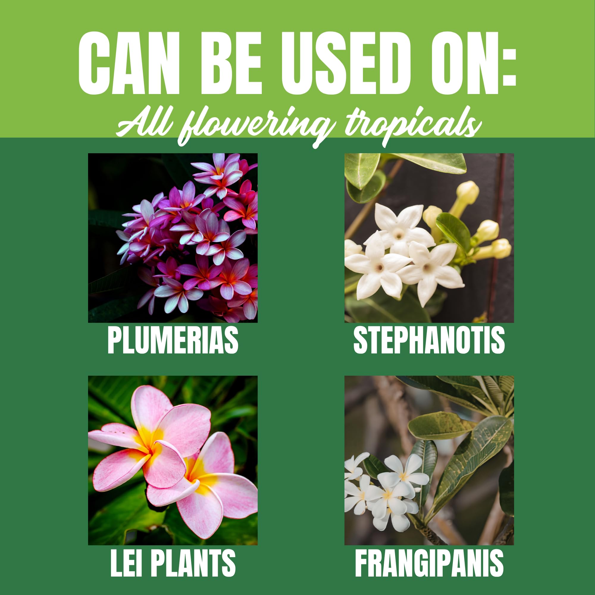 Nelson Plumeria Pflanze und alle blühenden Tropicals Futterfarne, Orchideen, Lilien im Bodenbehälter, Terrassen angebaut, Granulat-Dünger, NutriStar 5-30-5 (0,9 kg)
