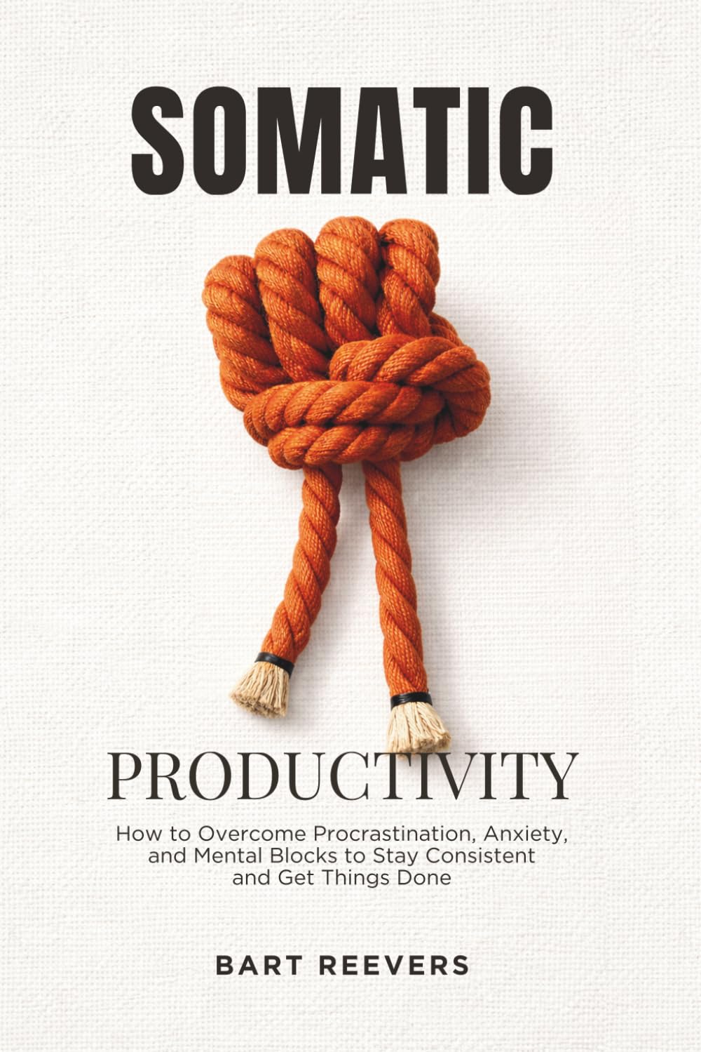 Somatic Productivity: How to Overcome Procrastination, Anxiety, and Mental Blocks to Stay Consistent and Get Things Done