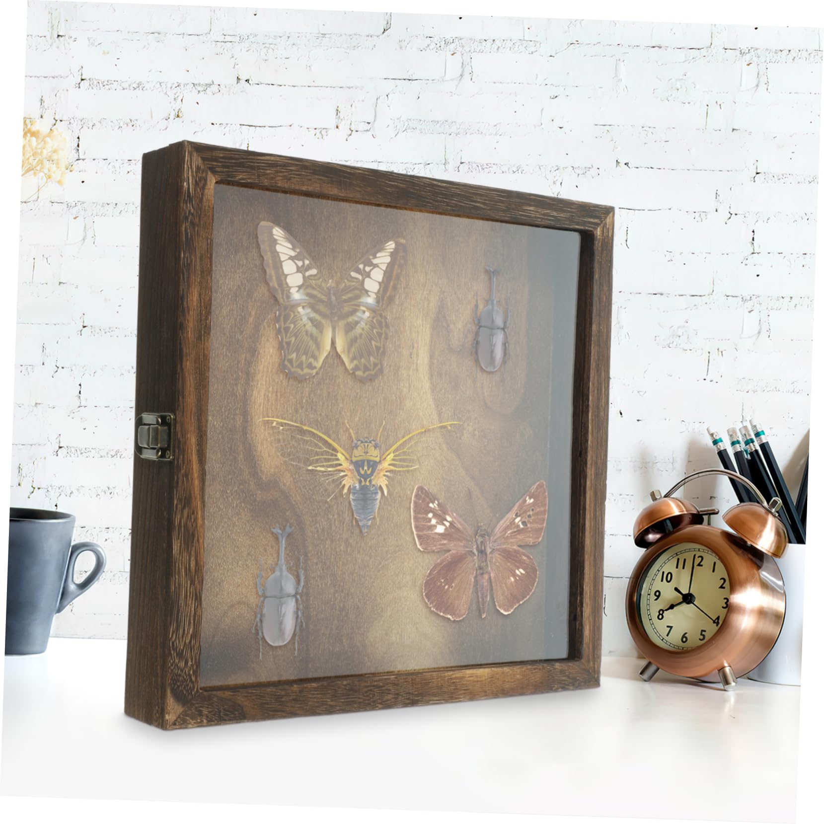 Zerodeko Caja de Exhibición para Insectos Diseño Retro, Gran Capacidad y Estructura Ligera de Acrílico y Madera Adecuado para Colgar Pared Estilo