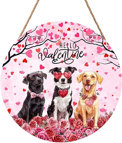 Miniatura 57 de Cartel divertido de No Soliciting para casa de 12 x 12 pulgadas, letreros de madera para puerta delantera, rústico, no solicitar, decoración Sin