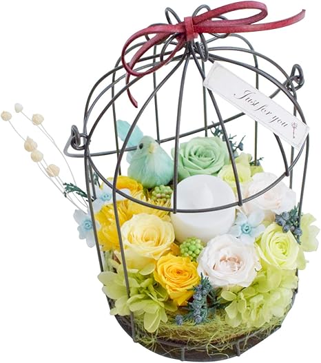 Amazon 花由 プリザーブドフラワー 鳥かごランタン Ledキャンドル付き 黄色 緑色 マケプレプライム便 プリザーブドフラワー オンライン通販