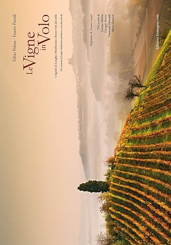 Le vigne in volo. I vigneti di Langhe, Monferrato e Roero visti dal cielo. Ediz. italiana e inglese