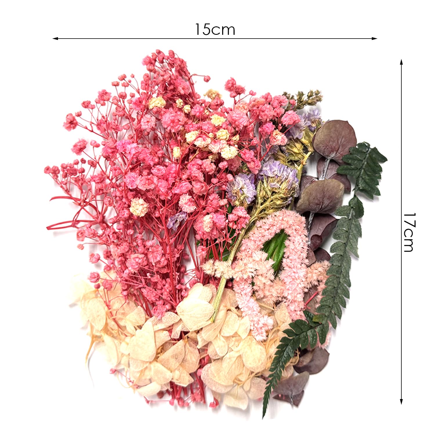 Lotto Di 70 Fiori Secchi Pressati Per Fai Da Te - Decorazioni Naturali Per Scrapbooking, Resina, Cornici