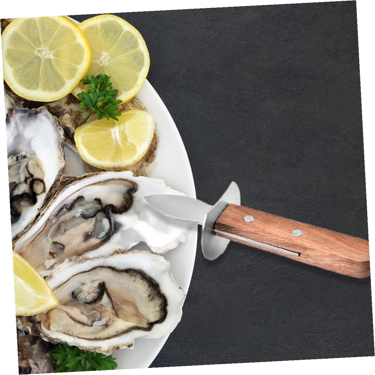 SOLUSTRE 3piezas Abrelatas De Ostras De Acero Inoxidable Mango De Antideslizante Herramienta Práctica Para Abrir Mariscos Casa o Picnic
