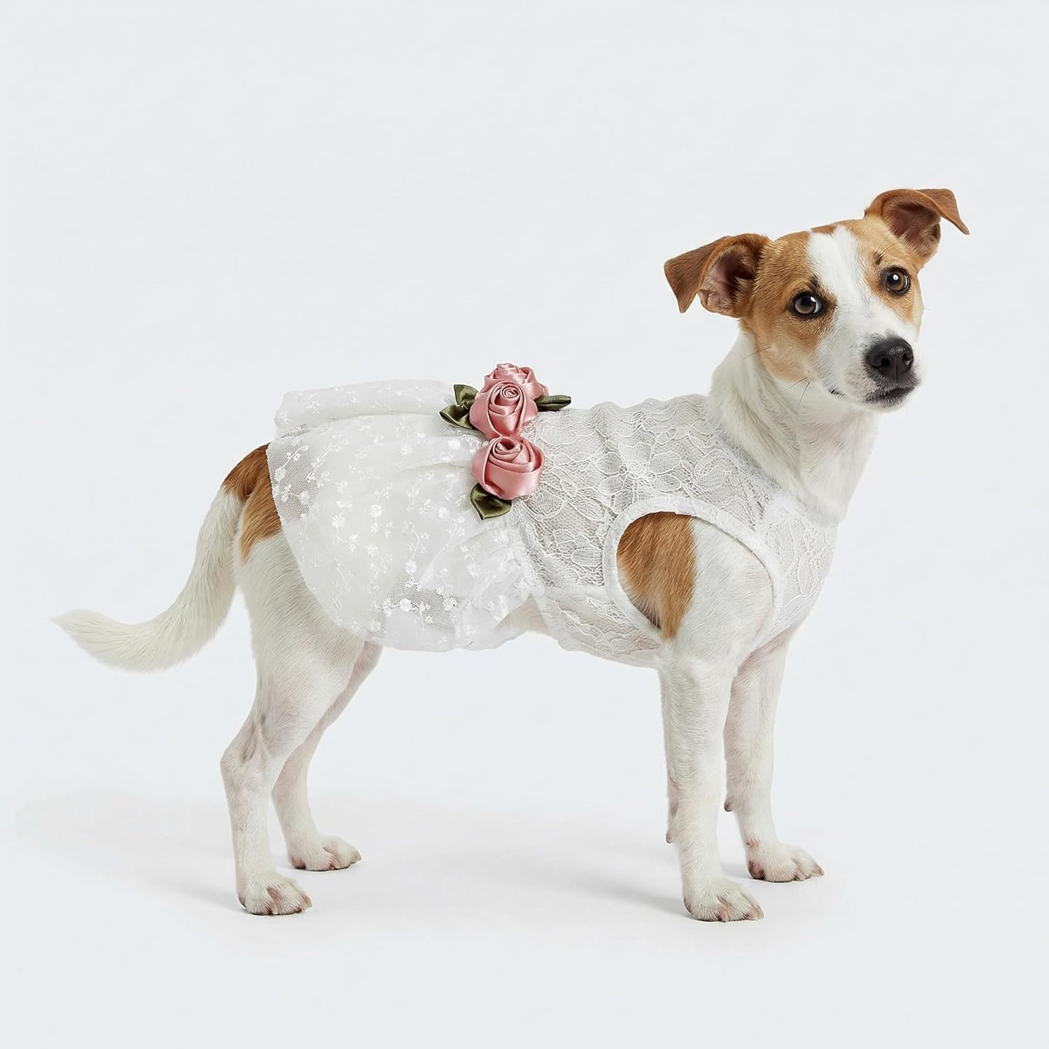 Fitwarm Luxury Rose Lace Pet Dog Weddding Dress Bride Clothes Formal Apparel, Medium