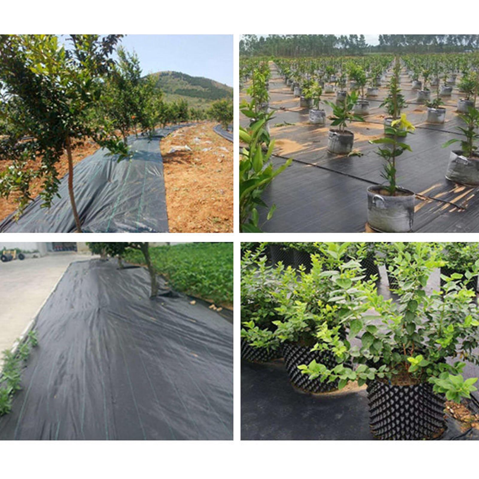 4m x 5m Telo Pacciamatura Non Tessuto 90 g/m² Anti Erbacce per Giardino & Orto Permeabile all'Acqua Protezione Contro Resistente agli Strappi Alta Stabilizzazione UV (4m x 5m = 20m²)