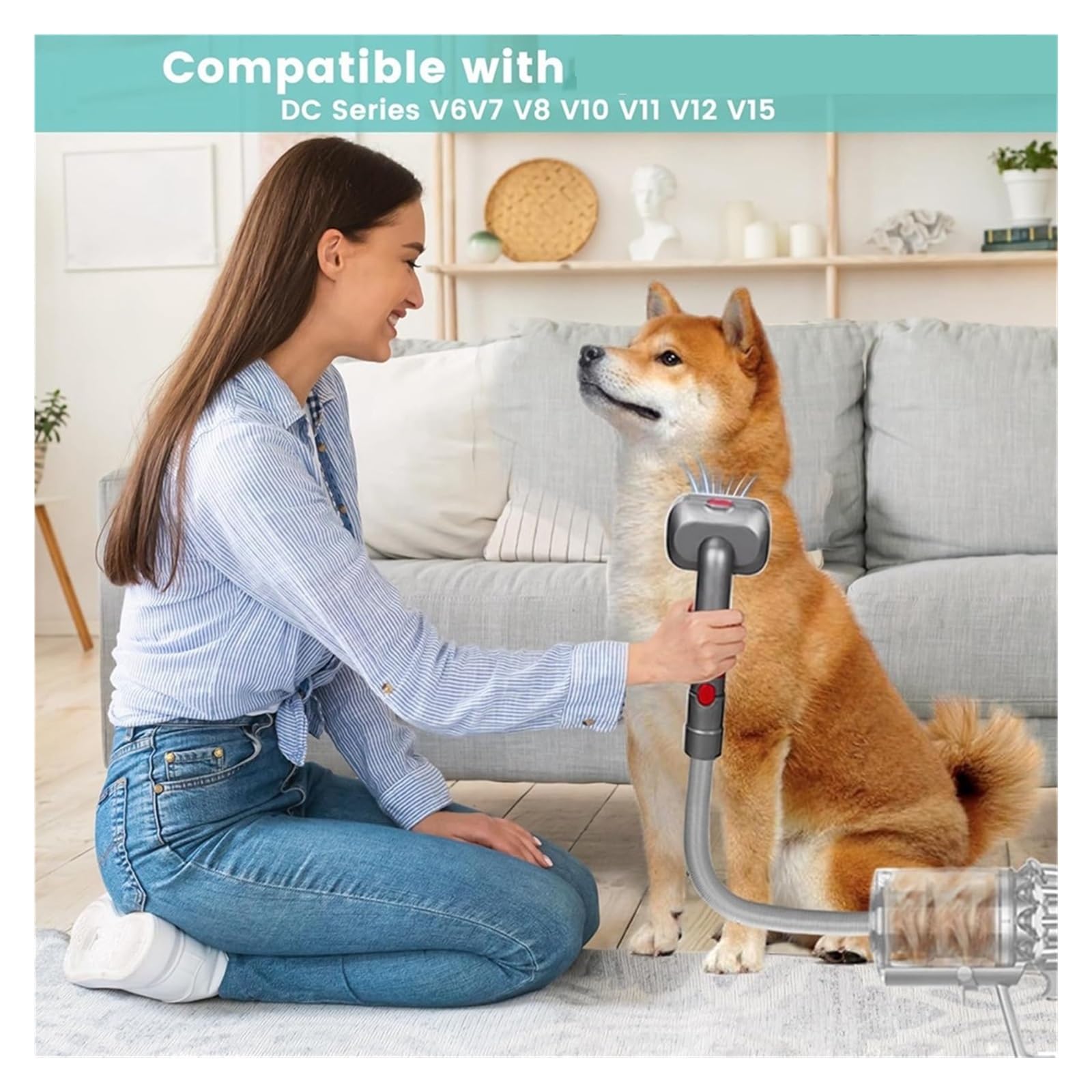 Amazon | ペット犬用グルーミングキット、ダイソン対応、掃除機V7 V8