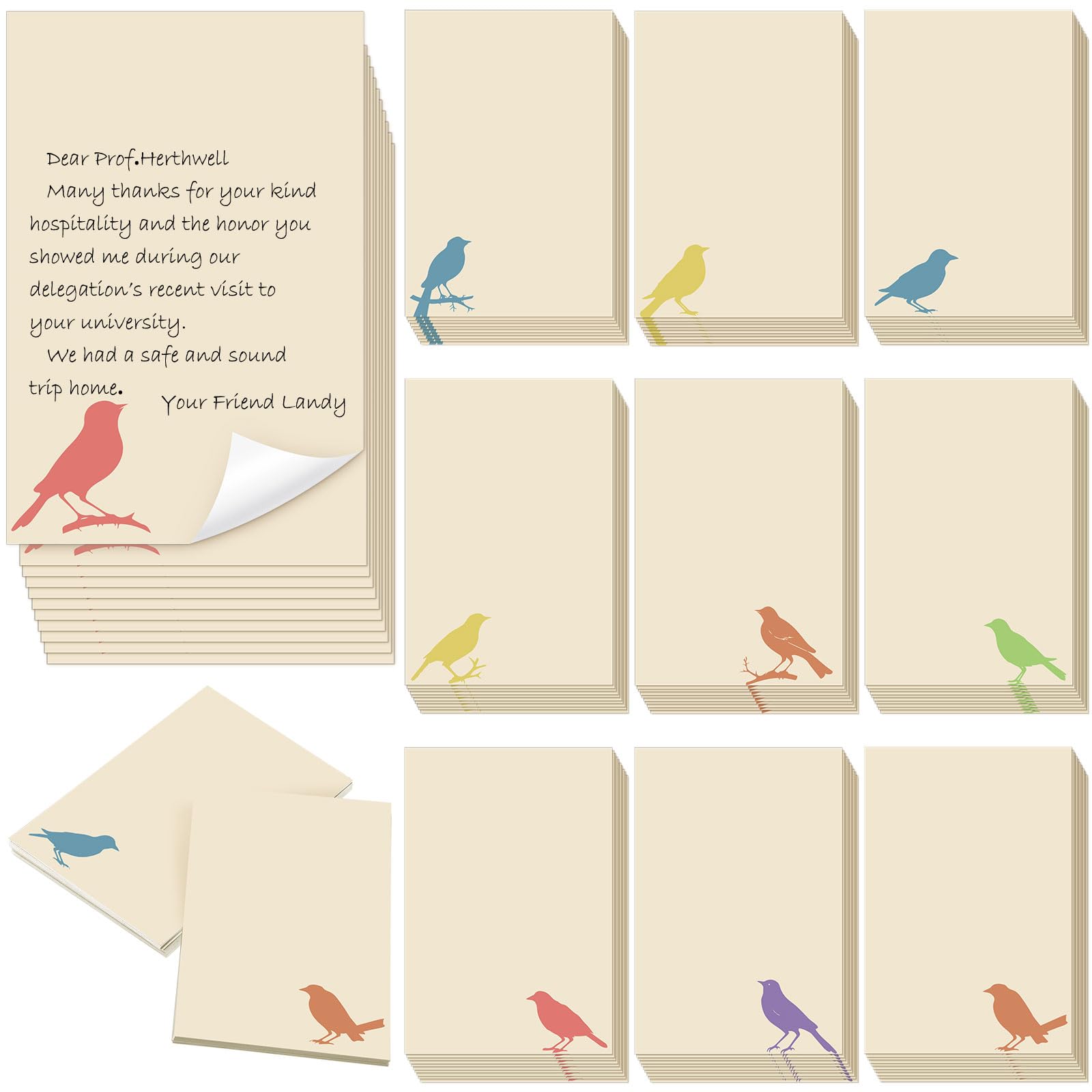 Spiareal 100 Pcs Blank Note Cards Index Card, Brown, 4 x 6 in, Bird