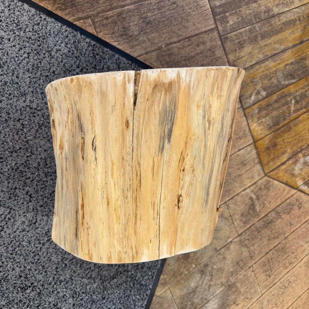 特大H153天然ヒノキ丸太切り株ちゃぶ台テーブル飾り台スツール ホーム 特大H153天然ヒノキ丸太切り株ちゃぶ台テーブル飾り台スツール ホーム