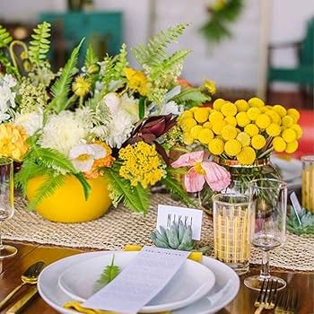 Amazon | HUAESIN 天然ドライフラワー クラスペディア ビリー