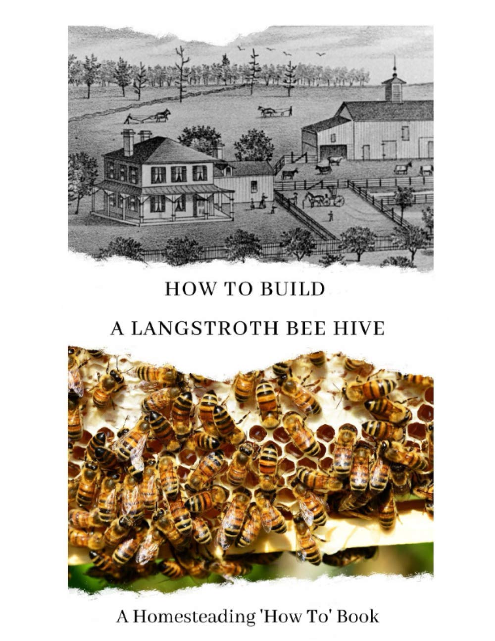 How To Build A Langstroth Bee Hive: A Homesteading 'How To' Book
