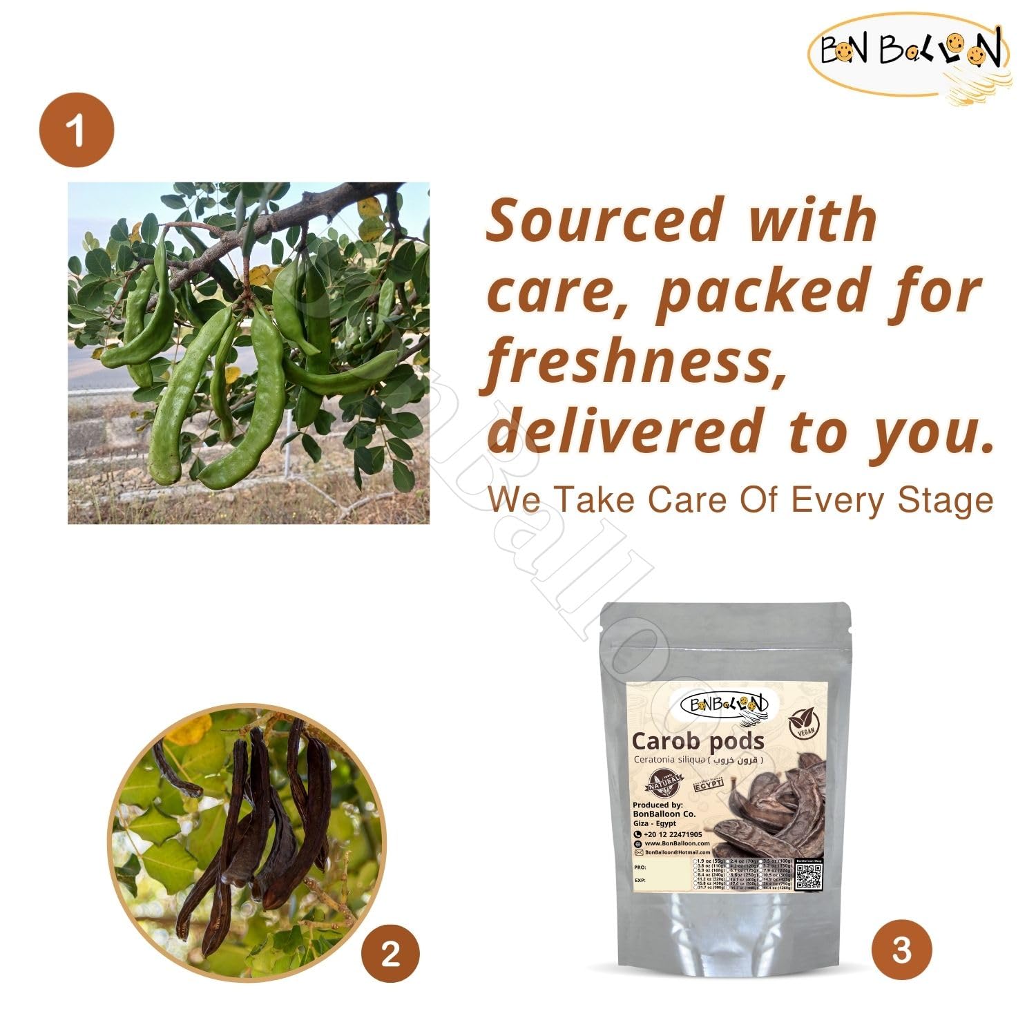 bonballoon Organic Raw Pure Natural Food 20 Pcs Carob Pods Whole ( 12 oz / 340 gm ) Ingredients Ceratonia Siliqua Caesalpinioideae Fabaceae Non Gmo Herbies Herbs Better Herbal Spices Eat Or Drink