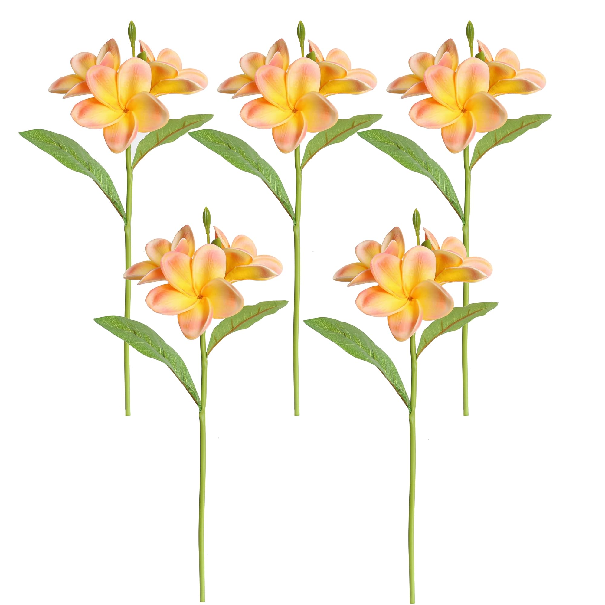 10 Stück Künstliche Plumeria Blüten – Farbverlauf Rot-Orange-Grün, PU Real Touch, Abnehmbare Köpfe, Mit Stielen (10 & 20 Cm), Für Deko & Hochzeit